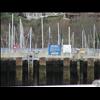 IMG_6585
3/21/2007 2:02:53 PM